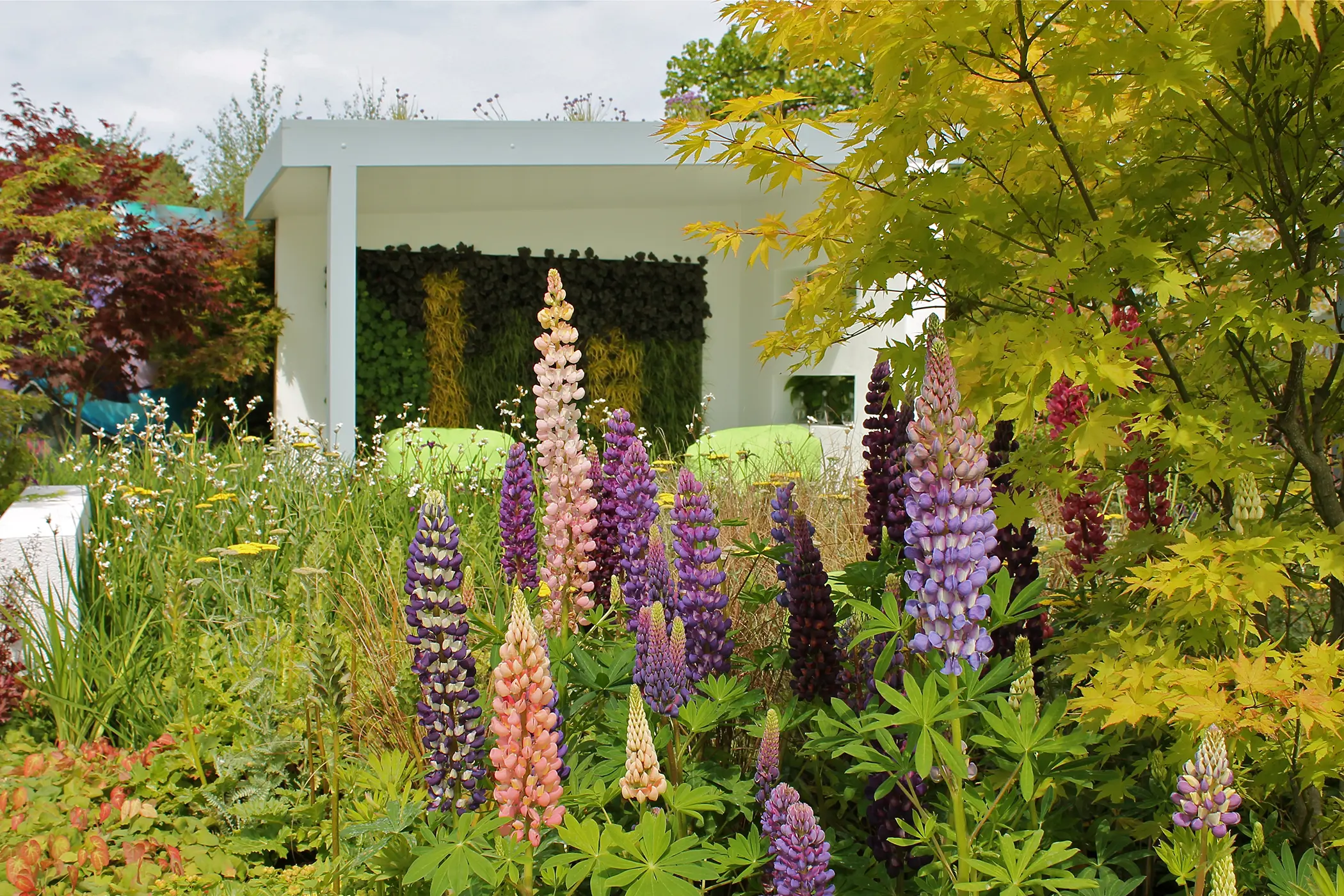 Bloom 2014 Show Garden Design